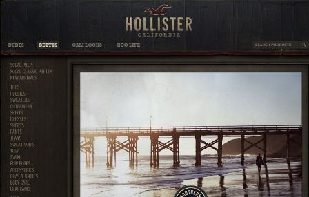 Hollister online Shop